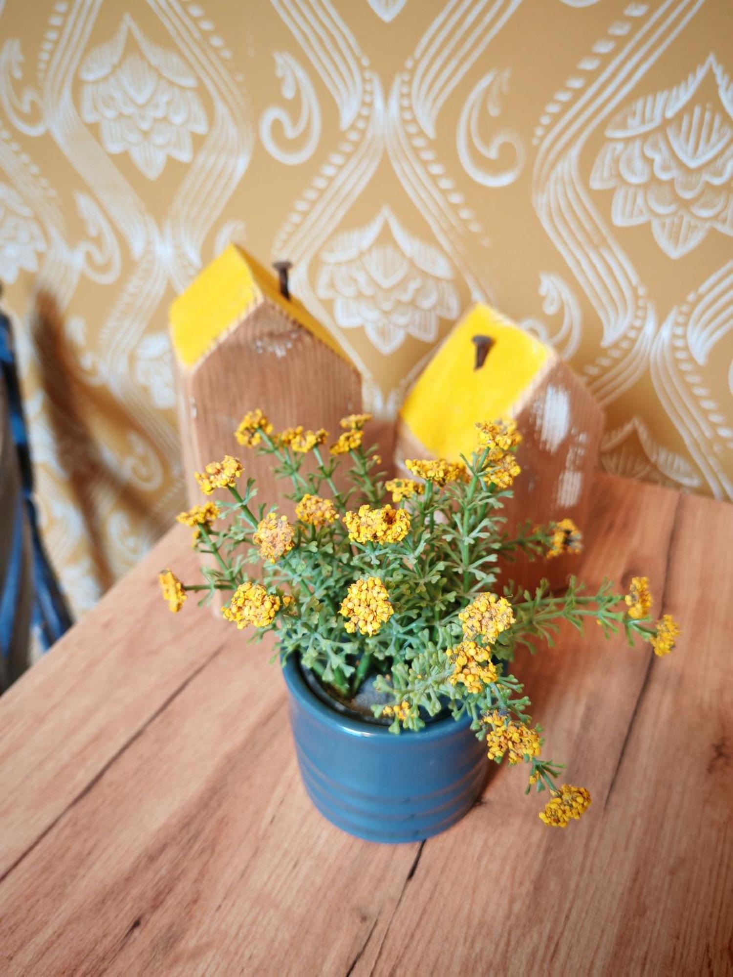 Guest House Relic ソンボル エクステリア 写真